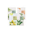 Set Maschere Viso Mizon Joyful Time Essence - Auryn Skin